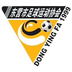 东营队 东营队